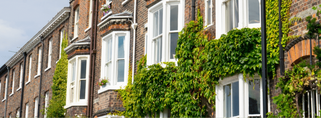 House Background Image