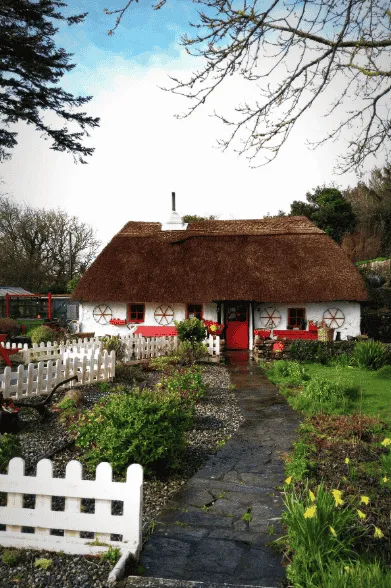 Imgi 4 Thatched Cottage 1