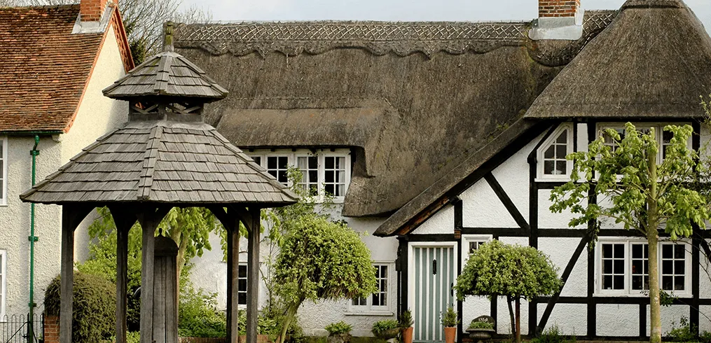 Imgi 4 Thatched House 1